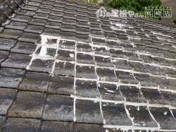 宮崎市神宮セメント瓦部分修理_00