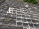 宮崎市神宮セメント瓦部分修理_00