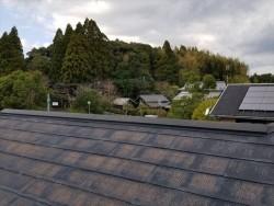 20190413_屋根点検01