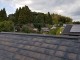 20190413_屋根点検01