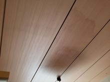 20190602_simonaka_01