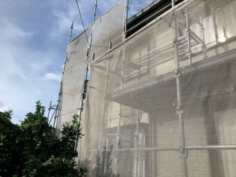 水養生