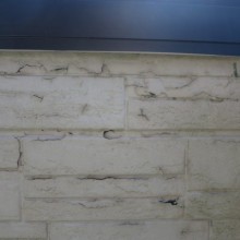 IMG_6939-e1557393477997-columns3