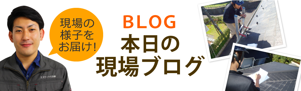 宮崎市、日南市、都城市やその周辺エリア、その他地域のブログ